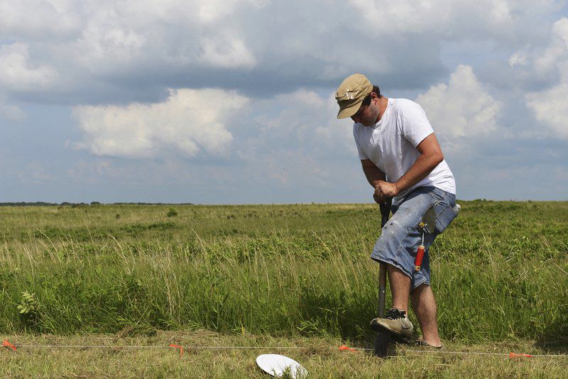 Reintroduction of first endangered species to Missouri shows encouraging signs